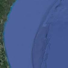 Pest Control Services Palm Coast Flagler County