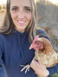 How do chickens cross the road? They hold hens.