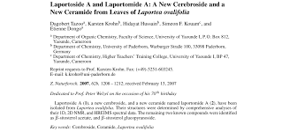 Image result for Laportea ovalifolia