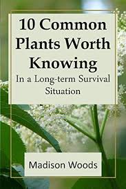 Robot Check Herbal Plants Plants Survival
