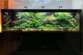 Our Custom Made C Model In A Planted Tank Aquarium Backgrounds Fish Tank Decorations Fish Tank