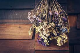 (if you do this, be careful. Six Things To Avoid When Making Dried Flowers Express Co Uk