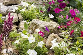When planting a crevice garden, the first question that comes to mind is how to wedge the rootball of a potted plant into the narrow crevice between two vertical rocks? Rock Garden Design Ideas Guide Pro Tips Install It Direct