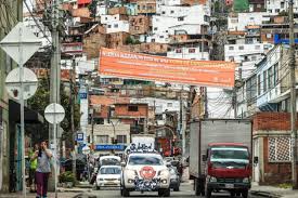Con la campaña #libresyencasa, la alcaldía de bogotá busca proteger la fauna silvestre durante esta temporada de fin de año Noticias De Bogota Viernes 12 De Marzo 2021 Bogota Gov Co