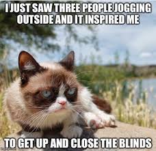 Funny Animal Memes For You To Laugh Loud 25 Pics Funny Funnymemes Funnyanimals Memes Lol Rofl Grumpy Cat Quotes Grumpy Cat Humor Funny Grumpy Cat Memes