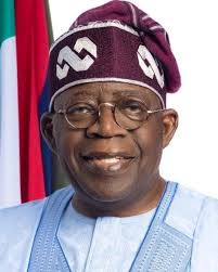 Nigeria senate president seeks parliamentary collaboration with China