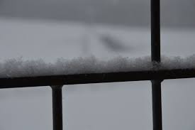 Schneefloeckchen, weissroeckchen / c g g7 c schneefloeckchen, weissroeckchen, wann kommst du geschneit? Schneeflockchen Weissrockchen Judika