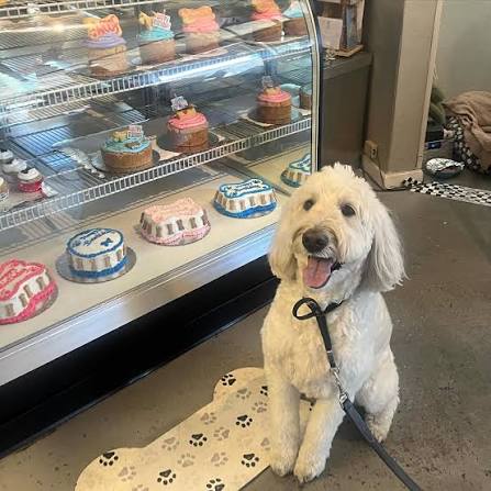 Paws And The Palette~ (@pawsandthepalette916) · Sacramento, CA