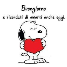 Avete dimostrato che il vostro è un vero amore che continua a crescere col passare del tempo. Buongiorno Immagini Bellissime Snoopy Buongiorno Immagini Buongiorno Buongiorno Divertente