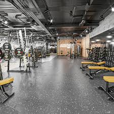 Life Fitness Home Page