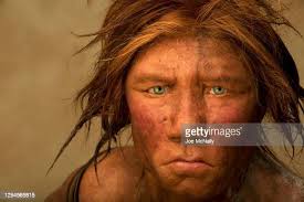 871 Neanderthal Photos and Premium High Res Pictures - Getty Images