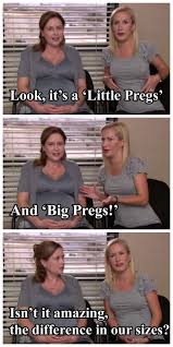 17 Indignities Pregnant Pam Suffered On The Office Office Memes Office Humor Office Jokes