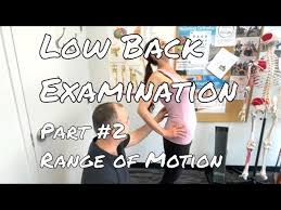 Image result for Low Back Standing Exam