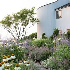 Seaside Sunrise In This Magical Garden By Susan Cohen In 2020 Coastal Gardens Seaside Garden Magical Garden