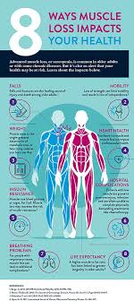 There are around 650 skeletal muscles within the typical human body. 8 Ways Muscle Loss Impacts Health Abbott Nutrition