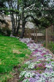 Aficionada a la pintura y cerámica y artesanía en general. 25 Ideas De Patios Plantas Y Flores Jardines Plantas Ideas De Jardineria