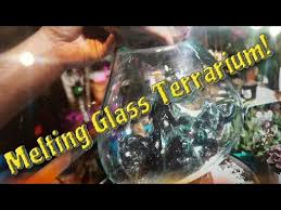 The size, shape, and color of driftwood may vary. Melting Terrarium Molten Glass On Driftwood Youtube