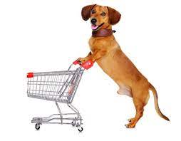Shoppers may return items within 90 days of. Major Stores That Allow Dogs In The Us Extensive List