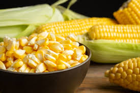 Tidak hanya berguna untuk mencukupi nutrisi tubuh, namun manfaat jagung manis rebus sangatlah banyak untuk kesehatan. 10 Manfaat Olahan Jagung Apa Saja Ya Real Jeda Id