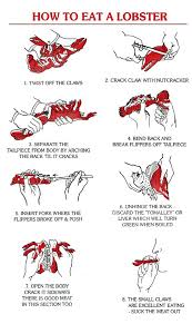 How To Cook And Eat A Lobster How To Cook Lobster Lobster Bake Lobster