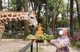 Jul 02, 2021 · tribunjabar. Liburan Akhir Pekan Kebun Binatang Ragunan Diserbu Pengunjung