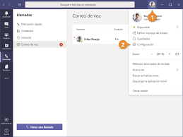 Utilizar Correo De Voz Customguide