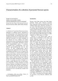 Image result for Panicum phragmitoides