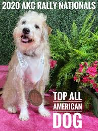 Natural Ways to Improve Gut Health with OGS