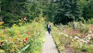 Gestaltungsidee Fur Einen Wildgarten Oder Naturgarten Mit Gepflasterten Gartenweg Durch Den Ganzen Garten Auf Den Beeten Links Und In 2020 Naturgarten Garten Stauden