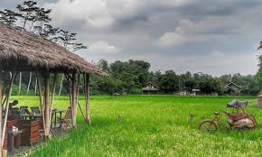 Ini cara aku makan, tak kisahlah mahal atau murah yang pasti aku mencari yg sedap. 17 Tempat Makan Di Magelang Paling Enak Murah Java Travel