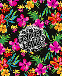 Santa Cruz Wallpapers Top Free Santa Cruz Backgrounds Wallpaperaccess High quality santa cruz logo gifts and merchandise. santa cruz wallpapers top free santa