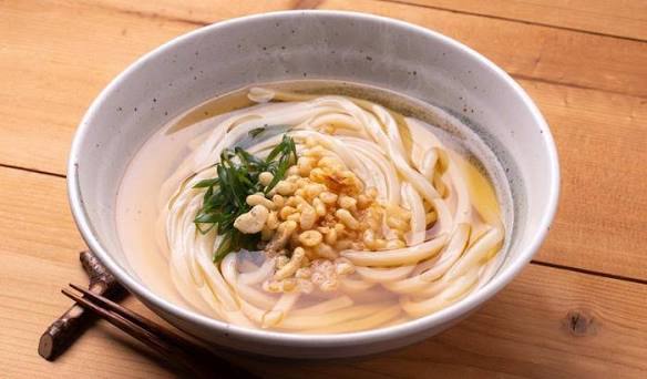 Tanuki Udon