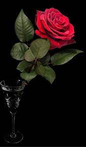 Love You Jessiah Jessiah Love Beautiful Rose Flowers Beautiful Roses Beautiful Red Roses