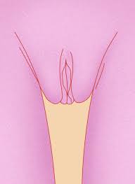 Yes, my nail looks best when a vagina is painted on it. 9 Vagina Types Why There S No Such Thing As Normal Labia