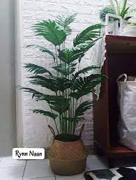 Selamat datang ke kedai bunga malaysia online. Diy Pokok Hiasan Rm8 40 Lagi Rimbun Lagi Cantik Mingguan Wanita