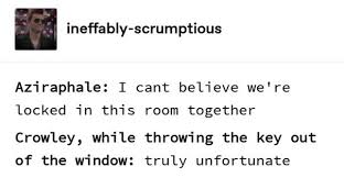 Bird Hitting Window Omen Fotografiya Good Omens Book Cartoon Books Great Memes