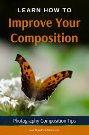 Check spelling or type a new query. How To Improve Your Composition By Adding A Focal Point