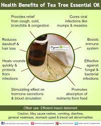 Learn About The Top 7 Melaleuca Oil Benefits Melaleuca Do It Yourself Recipes The Health Ben Tea Health Benefits Tea Tree Oil Benefits Tea Tree Essential Oil