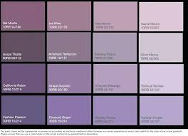 Purple Grey Paint 52production Co