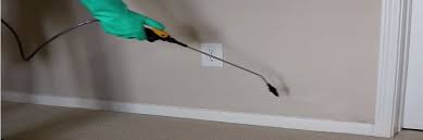 Find many great new & used options and get the best deals for demon wp pest control insecticide at the best online prices at ebay! Demon Wp Insecticide Diy Pest Control Product Solutions Pest Lawn