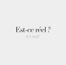 Est Ce Reel Is It Real Aprender Frances Frases Bonitas Palabras Francesas