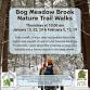 Bog Meadow Brook Nature Trail Walks - Bog Meadow Brook Nature Trail, Lake Ave Event Image