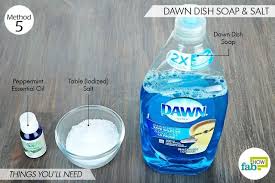 5 Ways To Kill Fleas On Dogs With Dawn Dish Soap Flea Treatment For Home Flea Treatments And Etc Dog Flea Kill Fleas On Dogs Flea Remedies Dog Remedies