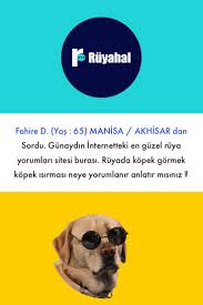 ruyada kopek gormek ruyada kopek isirmasi in 2021 movie posters poster pandora screenshot