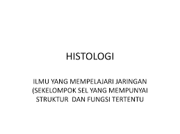 Arkeologi adalah cabang ilmu sejarah yang mempelajari kebudayaan manusia masa lalu melalui kajian sistematis atas data bendawi yang ditinggalkan. Histologi Ilmu Yang Mempelajari Jaringan Sekelompok Sel Yang Mempunyai Struktur Dan Fungsi Tertentu Ppt Download