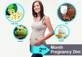 2nd Month Pregnancy Diet What To Eat And Avoid