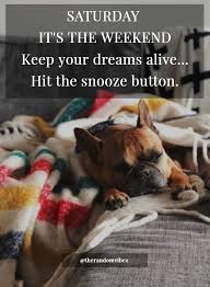 90 Funny Saturday Memes Images Pics For A Happy Weekend Funny Saturday Memes Saturday Memes Saturday Quotes