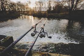 Get free best fishing brands now and use best fishing brands immediately to get % off or $ off or free shipping. Best Fishing Brands 2019 Off 66 Medpharmres Com