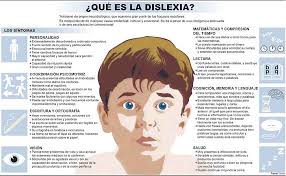 Por eso, a las personas disléxicas les cuesta visualizar las palabras, puesto que existe una disfunción en sus conexiones neuronales que les dificulta el acceso a la información que tienen almacenada en las regiones frontales y temporales del lenguaje en el cerebro. Que Es La Dislexia Infografia