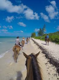 What It S Like To Ride Swimming Horses In Grand Cayman Grand Cayman Island Grand Cayman Beach Rides